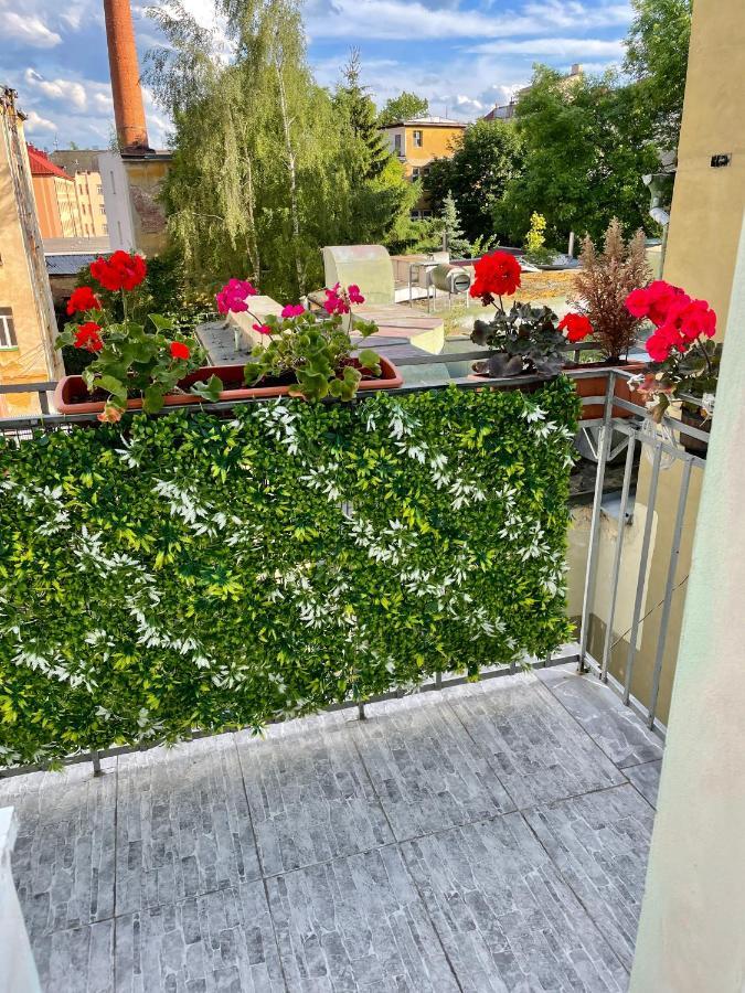 Pension Majovka خب المظهر الخارجي الصورة